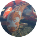 Michael Schwier Michael Schwier