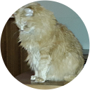 RB profile picture