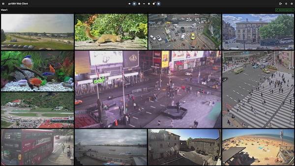 go1984 Web Client – Camera overview in browser