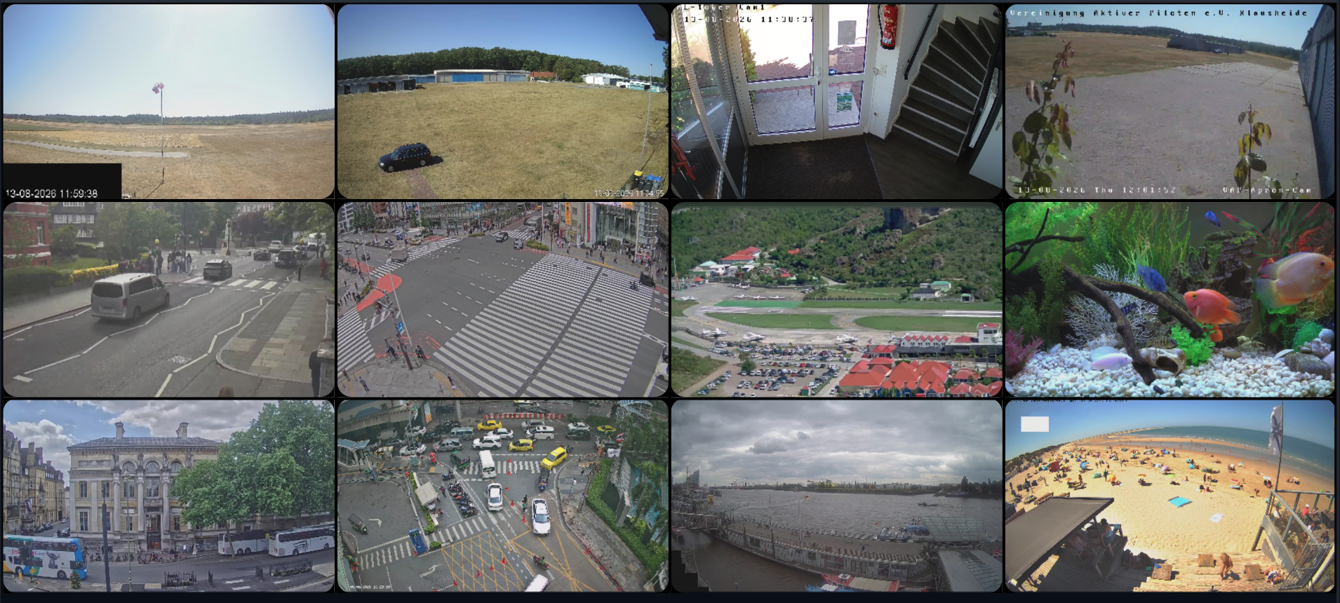 go1984 live view with 12 camera streams